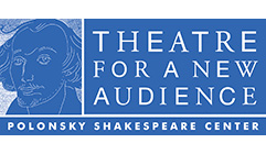 Theatre for a new audience